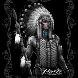 Warrior Indian Special edition luxury queen blanket NWT by DGA 4-5LBS